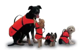 Life Jacket - DOG - SMALL - POODLE